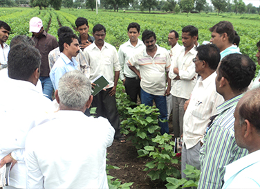 Better Cotton in India Better Cotton in India