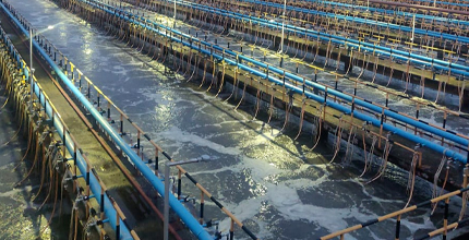 Environmental Solutions Environmental Solutions